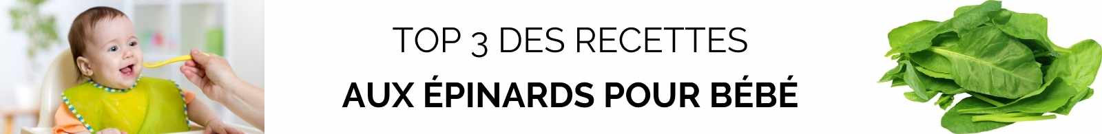 recettes aux épinards pour bébé