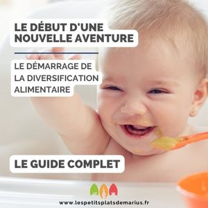 Guide Complet pour Démarrer la Diversification Alimentaire