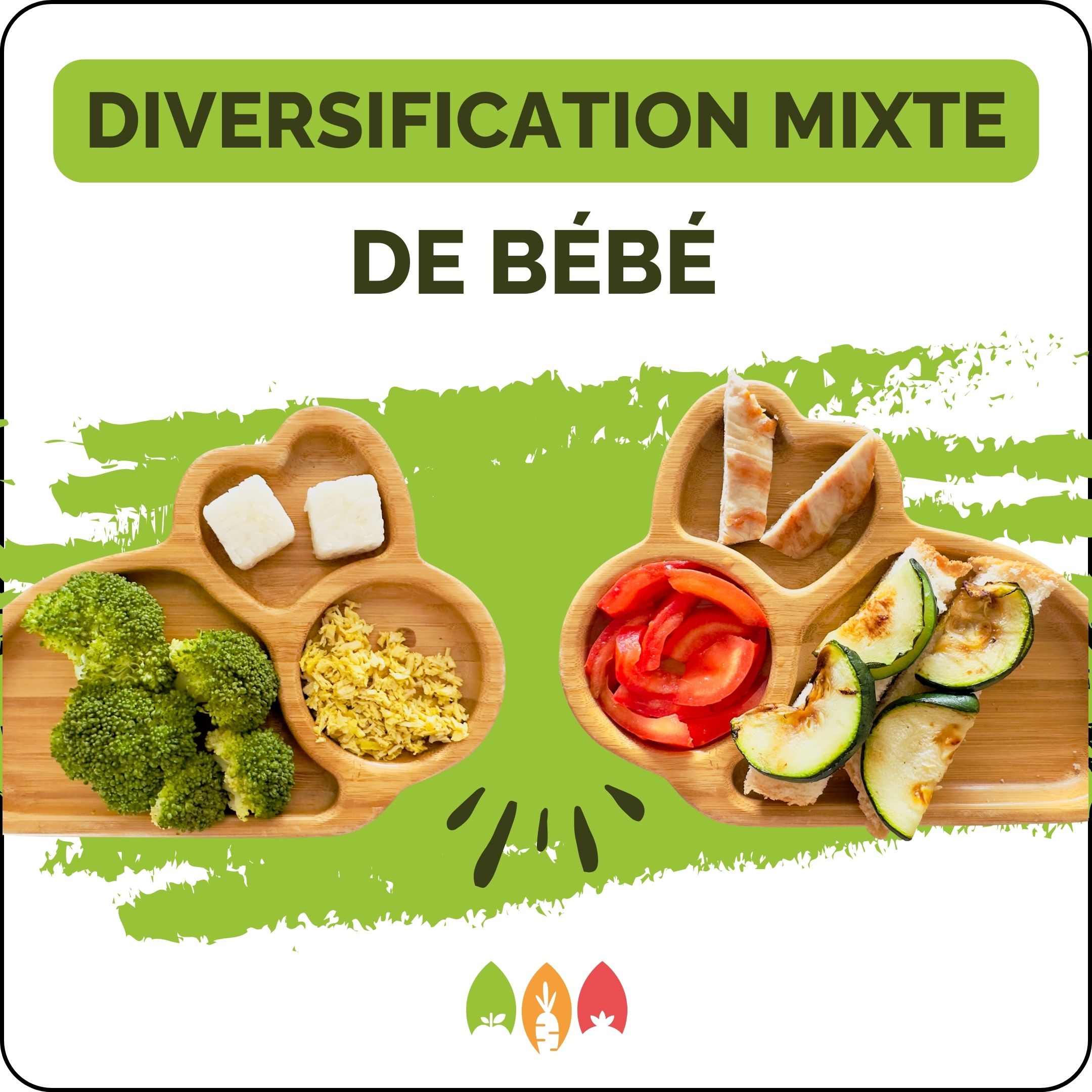 Box à cuisiner pour bébé - Diversification alimentaire