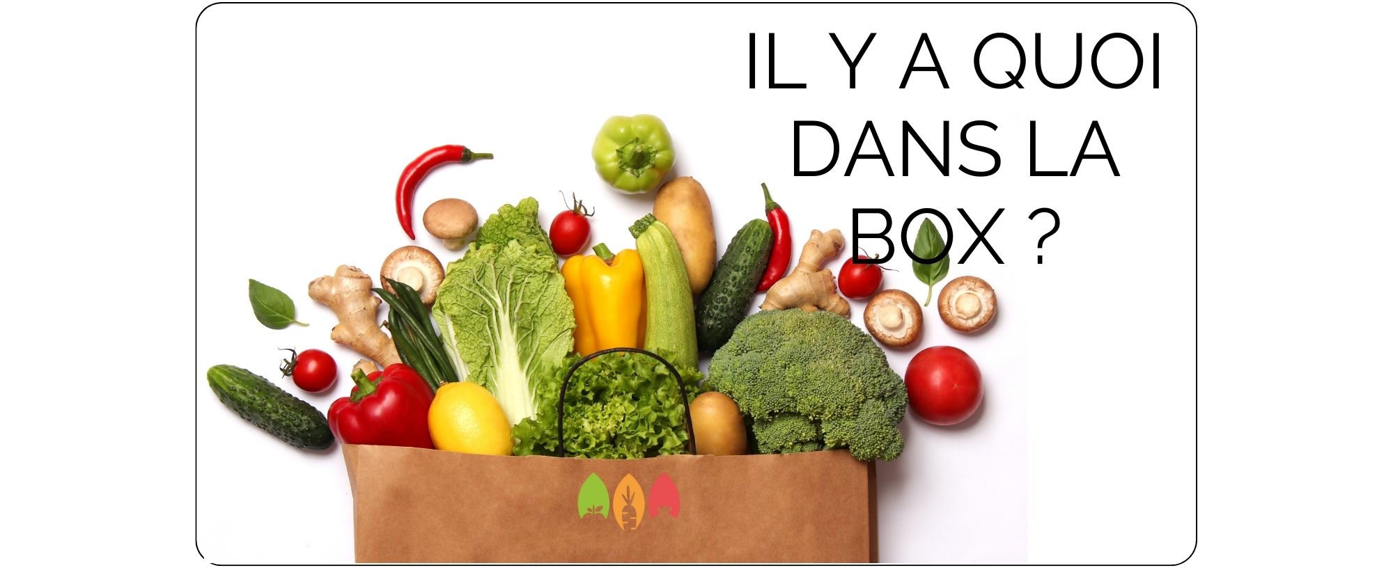 Il y a quoi dans la box ?