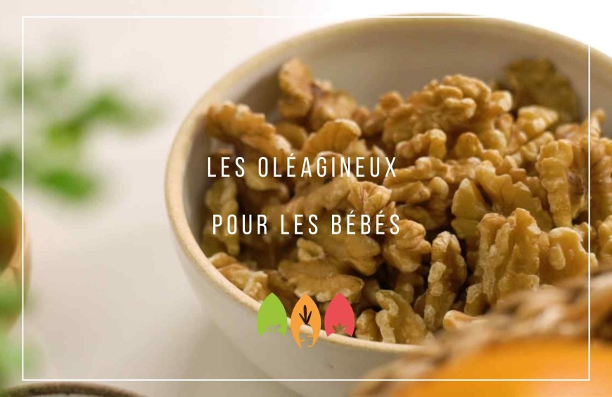 Les (bonnes) matières grasses dans l'alimentation de bébé - Cuisinez pour  bébé