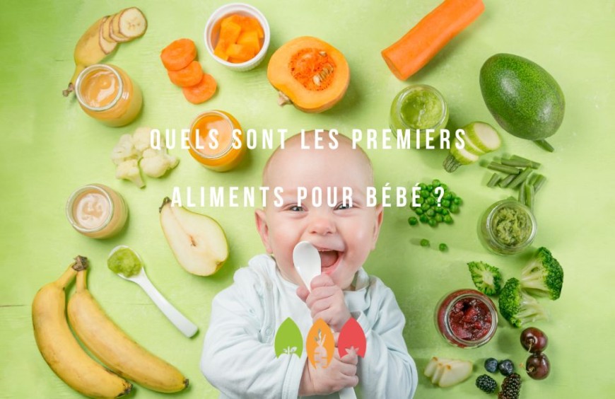 Quels sont les premiers aliments pour bébé ?