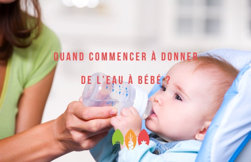 Quand commencer à donner de l'eau à bébé ?