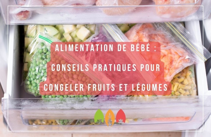 La Congélation des Repas de Bébé : Comment Congeler les Fruits et les Légumes ?