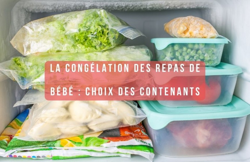 La Congélation des Repas de Bébé : Quel contenant choisir ?