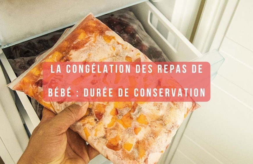 La Congélation des Repas de Bébé : Quelle durée de conservation ?