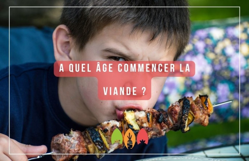 A quel âge bébé peut-il commencer à manger de la viande ?