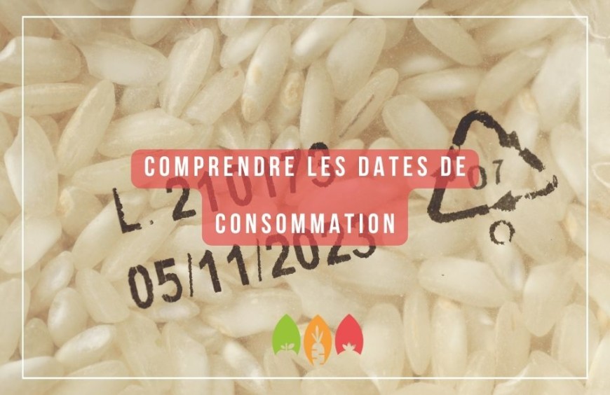 Comprendre la DLC et la DDM