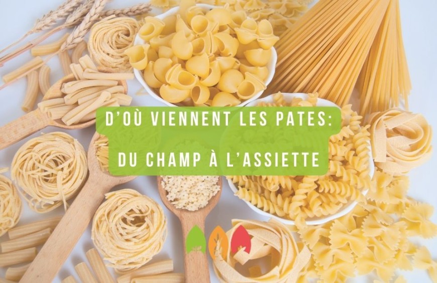 Expliquez facilement à votre enfant d'où viennent les pâtes : un guide pour parents