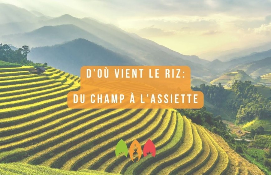 Le Voyage du Riz