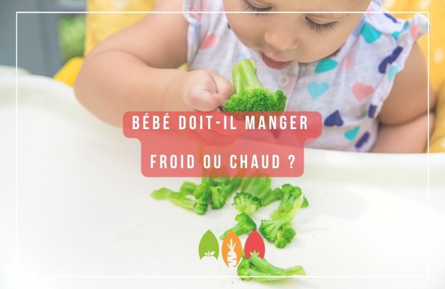 Bébé doit-il manger  froid ou chaud ?