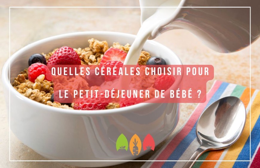 Quelles céréales choisir pour le petit-déjeuner de bébé ?